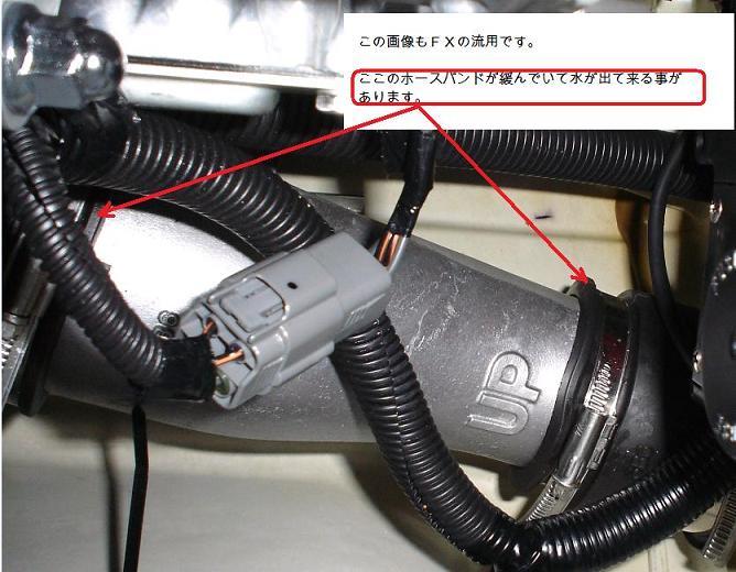 tTCY摜
