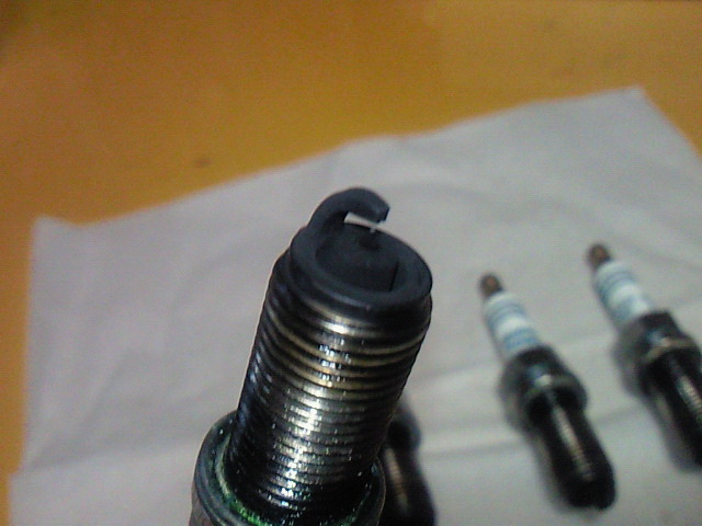 tTCY摜